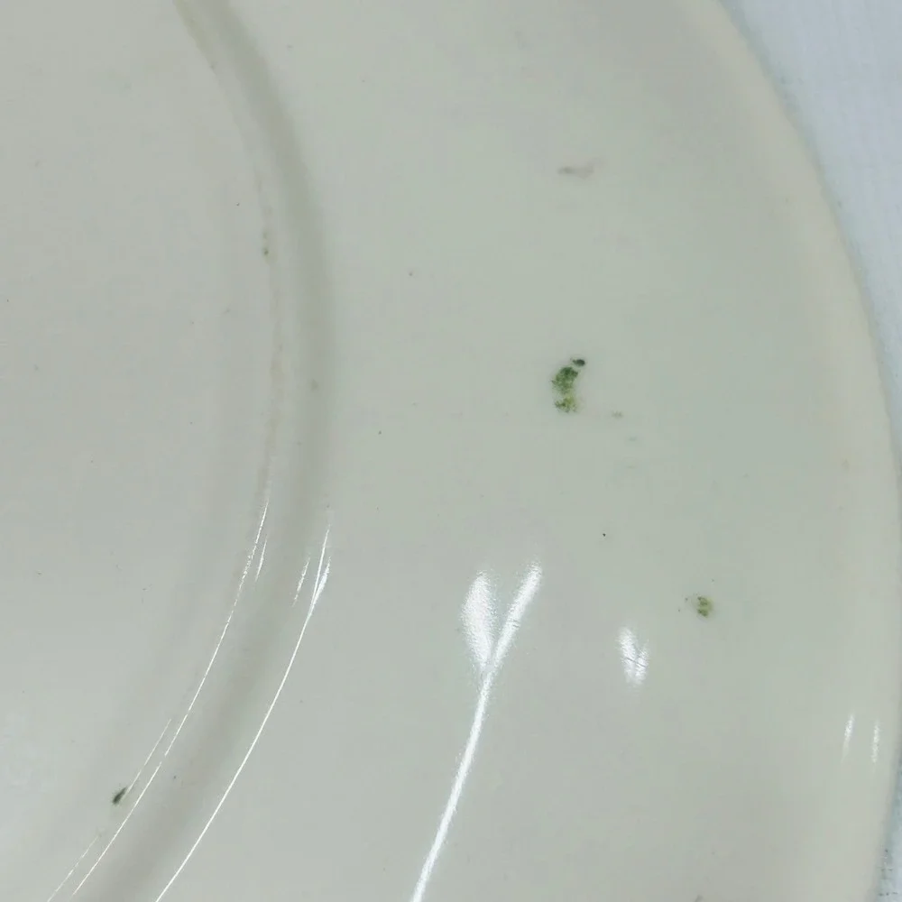 Blue Ridge‎ Southern Potteries Hand Painted Red Floral Luncheon 4 Set Plates USA